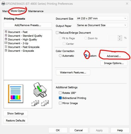 Epson Printer Preferences More Options Colour Maintenance