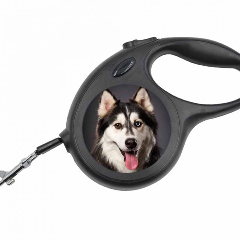 Retractable Dog Lead Sublimation Blank Printed 2